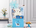 Baby Blue Plush Gift Basket